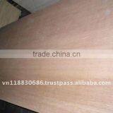 Plywood for Funiture and Packing Grade thumbnail-1