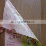 Fancy Folding Plastic Pocket Folders