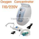 High End 110V/220V Portable Oxygen Concentrator Generator Oxygen Purity 30%~90% Oxygen Flow 1L-5L thumbnail-1