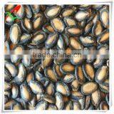 Best Black Watermelon Seeds thumbnail-1