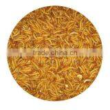 FD/AD/SD Mealworm Bird/fish/reptile Food thumbnail-1