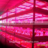 Quarantine Isolated Greenhouse for Scientific Research thumbnail-3