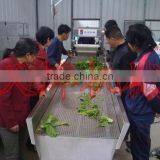 Guangxi Y. L. Vegetable Processing Factory thumbnail-1