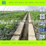 Advanced Agricultural Greenhouse for Vegetable thumbnail-5