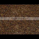 Shanxian Yongzheng Pet Food Co., Ltd. company overview - view 1 thumbnail