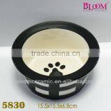 New Arrival High Quality Dog Bowl With Stripe