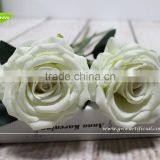 GNW FL-RS65-10CM-PU New Arrival Wholesale Champagne Rose Flower for Sale thumbnail-5