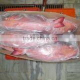 Frozen Red Snapper Whole thumbnail-1