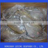 Frozen Black Pomfret Whole Round