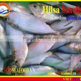FROZEN HILSA SARDINE thumbnail-3