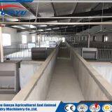 Galvanized Livestock Feeding Trough/Pig Chicken Farming Equipment/Automatic Trough for Sale thumbnail-5