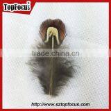 Lower Price Natural Synthetic Pheasant Feathers for Carnival Costumes thumbnail-4