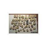 Egyptian And Canaanite Scarab Seals thumbnail-1