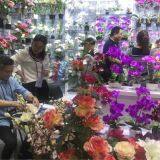 Baoding City Northern Flower Manufacturing Co., Ltd company overview - view 2 thumbnail