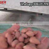 Commercial Use Pine Nut Roaster Cacao Bean Roasting Plant Pumpkin Sunflower Seed Roasting Machine