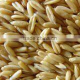 Organic Oat Hulled thumbnail-1