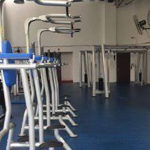 Fitness Tree Commercial Gym Equipment Vertical Leg Raise Machine thumbnail-2