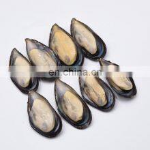 Frozen Mussel Half Shell Mussel Meat