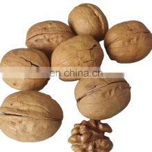 Factory Outlet Premium Walnuts and Kernels Raw Walnut of Low Price thumbnail-3