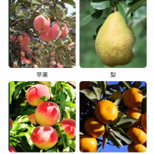 Cytokinin 6ba 2%WDG High-efficiency Plant Growth Regulators thumbnail-2