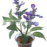 18cmH Artificial Flower Bonsai of Sage with Pebbles in Fake Water