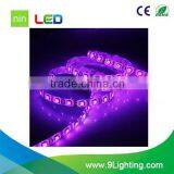 Bottom Price Best Sell Underwater Led Strip Light Ip65