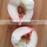 Fresh Peach thumbnail-2