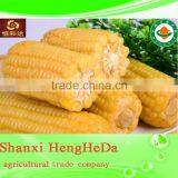 China Online Shopping With Certification Yellow Maize thumbnail-1