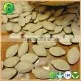 Top Quality Shine Skin Pumpkin Seeds, Lady Nail Pumpkin Seeds, Organic Edible Seeds thumbnail-1