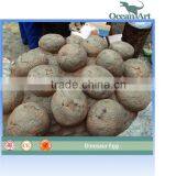 Hot Selling Dinosaur Eggs Life Size thumbnail-6