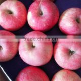 Fresh fruits & Vegetable supplier China Fuji Apples on sale