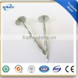 BWG9* 2.5 Inch Umbrella Head Galvanized Roofing Nails with Rubber Washer