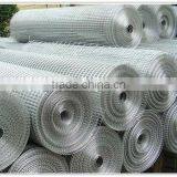 Galvanized Welded Wire Mesh(factory)
