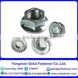 Carbon Steel DIN6923 Hex Flange Nuts Serrated Zinc Plated and Black thumbnail-4