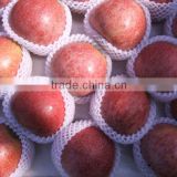 new jiguan apple