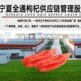 High Quality Goji Berry(wolfberry) ---2016 Gojiscm Offer thumbnail-1