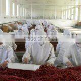 Shandong Pangda Condiment & Food Co., Ltd. company overview - view 2 thumbnail