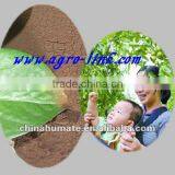 Good Quality Fulvic Acid Fertilizer thumbnail-1