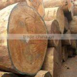 Teak Wood Timber Teak Timber Flooring thumbnail-1