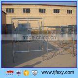 Hot Dip Galvanized Customized Ladder Frame Scaffolding for Support System thumbnail-3