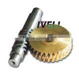 Brass Worm Gear for WD Worm Gearbox thumbnail-1