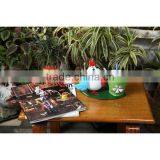 Small Egg Shape Chicken With Pot White thumbnail-1