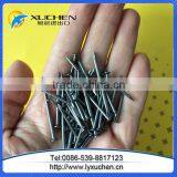 Common Nail/Common Wire Nail/Common Iron Nails thumbnail-6