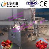 Hot Sale and High Efficiency Cherry Pitting Machine thumbnail-1
