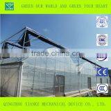 Low Price Prefabricated Multi Span Multi Function Greenhouse thumbnail-3