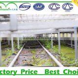 Low Cost Greenhouse Supplier thumbnail-3
