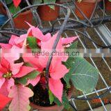 Irrigation System thumbnail-4