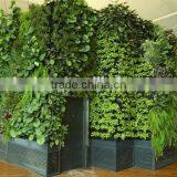 2016 Hot Sale Chinese Goods Wholesale Artificial Grass Wall thumbnail-4