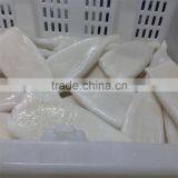 Pacific Squid Tube Frozen thumbnail-5