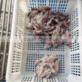 Grade A BQF Baby Squid Loligo Japonica thumbnail-3